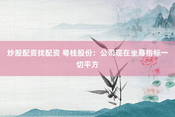 炒股配资找配资 粤桂股份：公司现在坐蓐指标一切平方